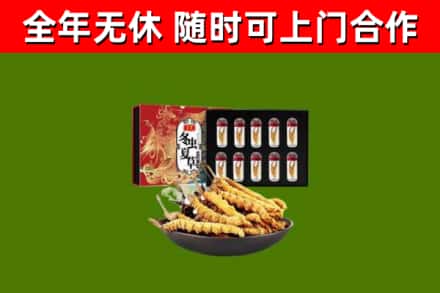 亳州市回收冬虫夏草价格