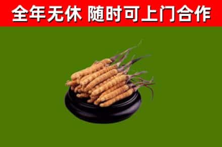 亳州市烟酒回收冬虫夏草.jpg